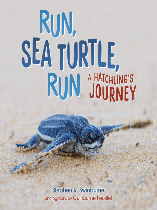 Title details for Run, Sea Turtle, Run by Stephen R. Swinburne - Wait list